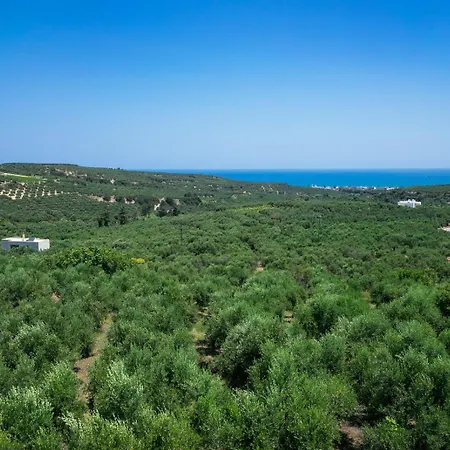 Etheria Villa